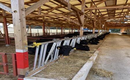 新ブランド牛!「はりま姫牛」赤身すき焼き200g×3パック