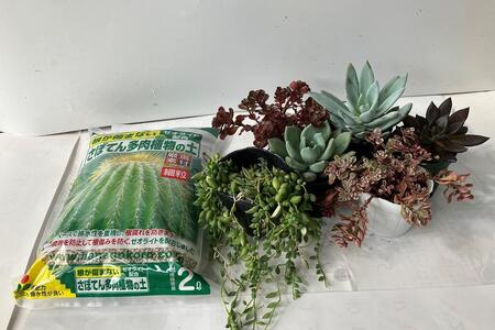 多肉農家さんが作りました】多肉植物の土 30リットル - インテリア小物