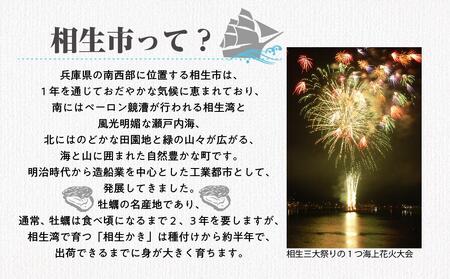 【返礼品なし】兵庫県相生市への寄付（5,000円分）