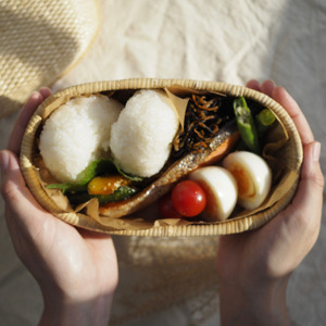 ふるさと納税】伝統の飯行李（小） / 伝統工芸品 柳行李 豊岡杞柳細工 弁当箱 お弁当 行楽 | 兵庫県豊岡市 | ふるさと納税サイト「ふるなび」