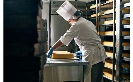 メシテラアイスサンド 6個入り / 米粉 カステラ グルテンフリー ブランド米 米粉100％ ミルクアイスクリーム サンド ふわふわ食感 スイーツ 洋菓子 ミルクサンド コウノトリ育むお米でつくるニッポンのカステラ メシテラ 冷凍