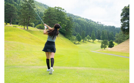 日和山観光グループギフト券 3,000円分 / ホテル金波楼 城崎マリンワールド 城崎カンツリークラブ 宿泊券 旅行券 城崎温泉 兵庫県 旅行 ゴルフ利用券 体験 旅行 トラベル クーポン 旅館 ホテル 国内旅行 観光 予約 父の日 母の日 ギフト