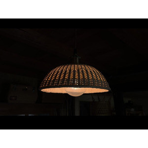 豊岡杞柳細工 育てる照明『tsukigasa』照明金具：ダクトレールタイプ（E26口金） /  ランプシェード 照明金具・電球付き 柳 半楕円体 伝統工芸品 天然素材 行李柳 コオリヤナギ