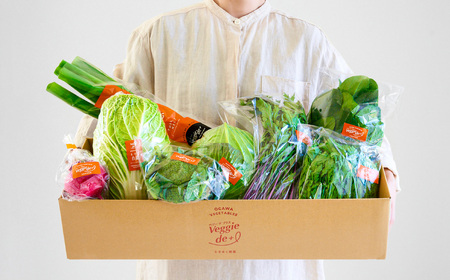 旬の新鮮なお野菜を産地直送！ベジプラ特選 旬の野菜セット【定期便：12回　毎月お届け】 / 野菜 詰め合わせ セット 野菜セット 新鮮 ギフト やさい 苦みが少ない 甘みが強い Veggie de＋【野菜例：キャベツ 水菜 ミニトマト レタス とろり葱 ほうれん草等】