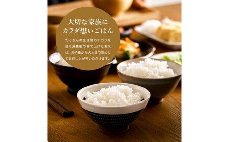 令和7年産　新米 減農薬 米 特別栽培米 8kg コウノトリ育むお米 但馬産 こしひかり 兵庫県産(2kg×4袋)（94-003）減農薬 お米 8キロ 精米 白米 コウノトリ米 コシヒカリ 新米 コメ こめ ご飯 ライス 減農薬米