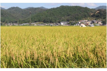 【令和5年産】コウノトリ育むお米減農薬【2kg×2袋】（94-003）