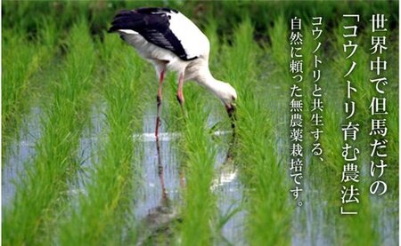 令和５年産　コウノトリ育むお米無農薬【5kg×3袋】（94-002）