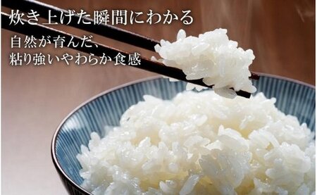 令和５年産　コウノトリ育むお米無農薬【2kg×2袋】（94-001）