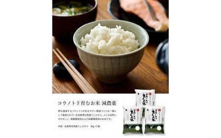 令和7年産　新米 減農薬 米 特別栽培米 10kg コウノトリ育むお米 但馬産 こしひかり 兵庫県産(5kg×2袋)（94-004）減農薬 お米 10キロ 精米 白米 コウノトリ米 コシヒカリ 新米 コメ こめ ご飯 ライス 減農薬米