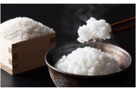 特別栽培米こしひかり　六方銀米　白米10kg