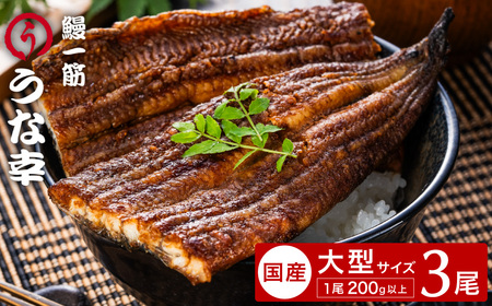 特製タレ 山椒付き 大型3尾 鰻一筋「うな幸」のふわとろ蒲焼き(“国産”大サイズ3本入り) / うなぎ ウナギ 鰻 蒲焼き 3尾 タレ セット 真空パック レンジ 8,750円
