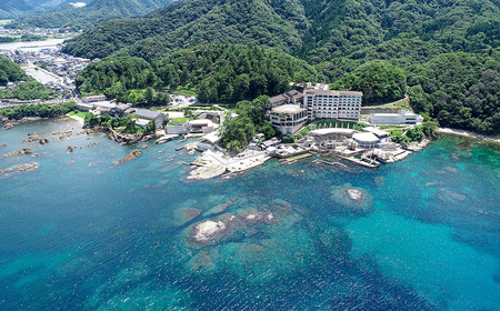 【高島屋選定品】＜ホテル金波楼＞ペア宿泊券（特選但馬牛会席コース）岬の館 プレミアム ツインルーム / 宿泊券 旅行券 但馬牛 温泉 兵庫県 旅行 トラベル クーポン ホテル 国内旅行 観光 予約 父の日 母の日 敬老の日 ギフト