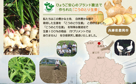 無糖しょうがしぼり汁 150ml×2本 / 無添加 無糖 しょうがの搾り汁 国産 兵庫県産 こうのとり生姜 紅茶 料理 お菓子作り 温活 体が温まる 風邪予防 しょうが ショウガ 生姜 ジンジャー