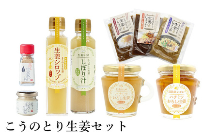 こうのとり生姜セット 9種入り / 刻み生姜の醤油漬け・炊き込みご飯の素・生姜焼きのタレ・生姜シロップ・生姜絞り汁・はちみつおろし生姜・はちみつおろし生姜レモン・蒸し生姜の粉・おろし生姜 / 国産 兵庫県産 こうのとり生姜  ショウガオール しょうが