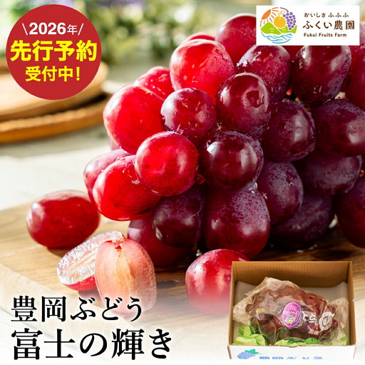 【2026年先行予約】豊岡ぶどう 富士の輝き 600g / 豊岡ブドウ 産地直送 濃厚 甘味 コク 皮ごと 食べられる 減農薬 ぶどう ブドウ 葡萄 果物 くだもの フルーツ ふくい農園
