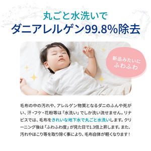 宅配クリーニングのリナビス 毛布クリーニング クーポン 毛布 1枚分 / クリーニング 保管 宅配 最大12か月無料保管 丸洗い 水洗い ふわふわ ふんわり 肌触りアップ ダニ駆除 ベッドパッド タオルケット リナビス