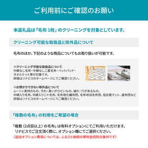 宅配クリーニングのリナビス 毛布クリーニング クーポン 毛布 1枚分 / クリーニング 保管 宅配 最大12か月無料保管 丸洗い 水洗い ふわふわ ふんわり 肌触りアップ ダニ駆除 ベッドパッド タオルケット リナビス