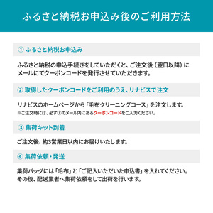 宅配クリーニングのリナビス 毛布クリーニング クーポン 毛布 1枚分 / クリーニング 保管 宅配 最大12か月無料保管 丸洗い 水洗い ふわふわ ふんわり 肌触りアップ ダニ駆除 ベッドパッド タオルケット リナビス
