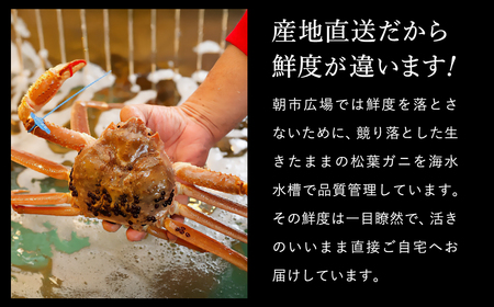 【訳あり】タグつき 釜茹で松葉ガニ900g前後