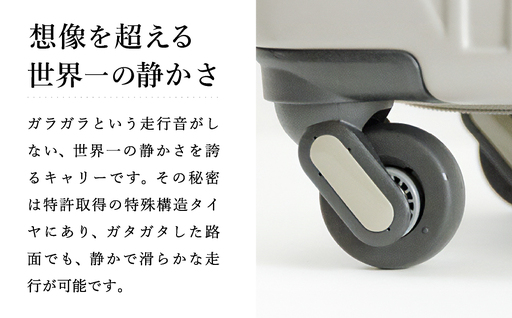 スーツケース FREQUENTER LIEVE リエーヴェ 4輪キャリー 57cm (1-252)・グレージュ / 軽量  静か バランス TAS 鍵不要 ダイヤル式 機内持ち込み タイヤ交換 フリクエンター エンドー鞄株式会社