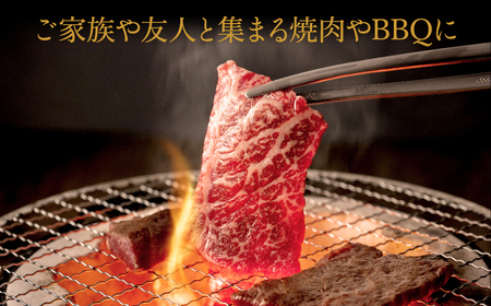 神戸牛 焼肉セット 牛肉 焼肉用 600g【肩・モモ】焼き肉 セット 食べ比べ 牛 肉 霜降り 但馬牛 黒毛和牛 和牛 国産牛 焼肉 やきにく アウトドア キャンプ BBQ 太田牧場 太田牛 神戸ビーフ【但馬牛太田家】