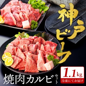 神戸ビーフ 焼肉・カルビセット 【1.1㎏】TYY3 兵庫県豊岡市 ふるさと納税サイト「ふるなび」