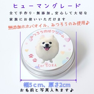 肉球クリームセット うちの子専用肉球クリーム30ml+リップクリーム1個 《 犬 ケア みつろう リップクリーム クリーム セット 詰め合わせ オリジナル セミオーダー ホホバオイル 》