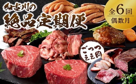 牛肉のまち加古川から「ごっついええ肉」定期便全6回 《 定期便 牛タン ウインナー サーロインステーキ ステーキ ハンバーグ 神戸牛 志方牛 豚 ローストビーフ 》【2409A99806】