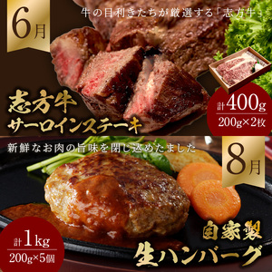 牛肉のまち加古川から「ごっついええ肉」定期便全6回 《 定期便 牛タン ウインナー サーロインステーキ ステーキ ハンバーグ 神戸牛 志方牛 豚 ローストビーフ 》【2409A99806】