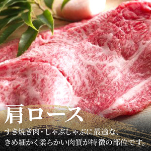 神戸牛肩ロースすき焼き肉・しゃぶしゃぶ肉(500g)《 神戸牛 自社牧場直送 国産 肉のヒライ 肩ロース すき焼き しゃぶしゃぶ プレゼント ギフト 送料無料 おすすめ 》【2403A00114】