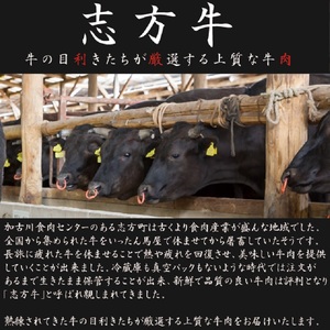 志方牛サーロインステーキ 200g×2枚《 肉 牛肉 牛 志方牛 国産牛 サーロイン ステーキ ステーキ肉 赤身肉 お取り寄せ プレゼント ギフト 送料無料 人気 美味しい 返礼品 おすすめ》【2401A00110】