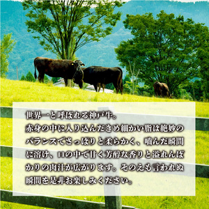 神戸牛サーロインステーキ(200g×3枚)《 肉 牛肉 牛 神戸牛 国産牛  サーロイン ステーキ 》【2407A00117】