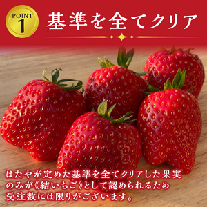 ★先行予約★結いちご(2パック入)[12月下旬より順次発送] 《 いちご 大粒 苺 フルーツ 果物 フルーツ工房はたや ふるさと納税いちご イチゴ 高級 国産 送料無料 》【2402C09706】