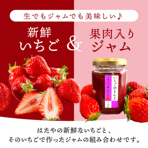 ★先行予約★はたやの新鮮いちご＆果肉入りジャムのセット[12月下旬より順次発送]《 ふるさと納税いちご イチゴ 苺 フルーツ工房はたや 高級 フルーツ ジャム 送料無料 》【2401C09702】