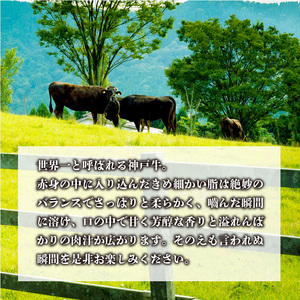 [父の日ギフト]神戸牛サーロインステーキ(200g×1枚)《自社牧場直送 国産 神戸牛 肉のヒライ サーロインステーキ 赤身 サーロイン ステーキ 牛肉 200グラム 和牛》
