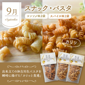 焼き菓子定期便《 焼き菓子 定期便 バニラカヌレ カヌレ エッグタルト タルト スナックパスタ フィナンシェ マドレーヌ サブレ お取り寄せ ギフト 送料無料 》【2502H99801】