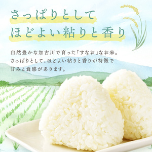 ☆先行予約☆【新米 令和7年産 2025年11月より順次発送】はしもとさんちのお米(10kg)《 お米 米 ヒノヒカリ 精米 お米10kg お米10キロ ごはん ご飯 》【2503B14302】