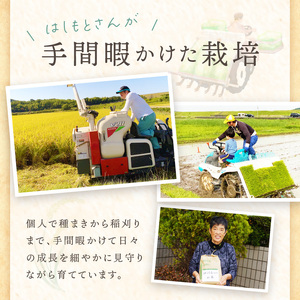 ☆先行予約☆【新米 令和7年産 2025年11月より順次発送】はしもとさんちのお米(10kg)《 お米 米 ヒノヒカリ 精米 お米10kg お米10キロ ごはん ご飯 》【2503B14302】