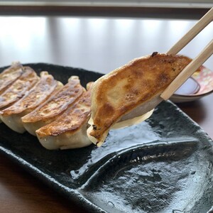 大西食品「イベリコ豚のジューシー餃子」《 ギョーザ 焼くだけ 簡単 イベリコ豚 ベジョータ 兵庫県 加古川市 》【2401I15301】