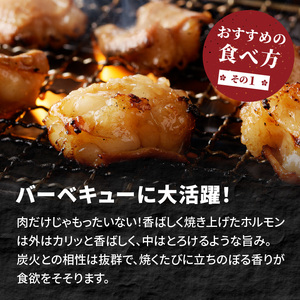 ホルモン番長(国産牛タレ付ホルモン)《 肉 ホルモン 国産牛 自家製タレ 新鮮 》【2401A00224】