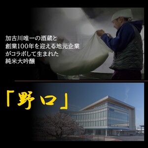 日本酒 「野口」純米大吟醸《 日本酒 酒 お酒 純米大吟醸 大吟醸 山田錦 》【2401F16301】