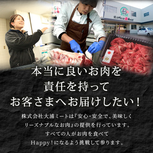 「肉のまち加古川」精肉店大浦ミートの本気の加工品！《 ハンバーグ カレー 定期便 惣菜 簡単調理 手軽 おかず 》【2501I00201】