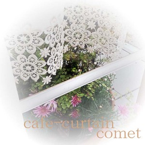 播州織カフェカーテンコメット(W60ｘ25cm)《 播州織綿 細窓 小窓用 レース付き コメット おしゃれ アイセレクト 》【2500N13802】