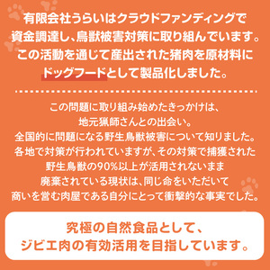 数量限定！ワイルドドッグフード(8個入り)《 ペット ペット用品 個包装 低カロリー 健康志向 栄養満点 環境 健康 高品質 消耗品 送料無料 》【2401N00604】