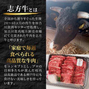 志方牛カルビ焼肉(500g)〈牛肉 牛 和牛 国産 焼肉 おすすめ カルビ 赤身 美味しい バーベキュー 志方牛 プレゼント ギフト 送料無料 お取り寄せ〉【2401A00202】