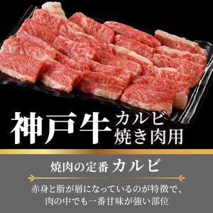 神戸牛カルビ焼肉700g 《 肉 カルビ 神戸牛 焼肉 国産 バーベキュー サシ 和牛 プレゼント ギフト お取り寄せ 送料無料 おすすめ 》