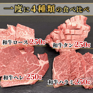 大浦和牛焼肉セット(1kg)《牛肉 牛 国産 焼肉 セット おすすめ ロース 美味しい 牛タン ハラミ ヒレ 食べ比べ バーベキュー》