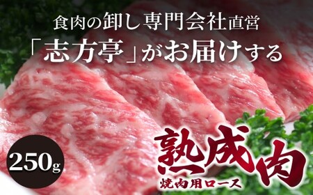 「熟成肉」焼肉(250g)《焼肉 熟成肉 ロース 牛肉 ロース 250g 牛 国産 和牛 おすすめ こだわり セット バーベキュー ブレンド塩 旨味 加古川市》【2402A00405】