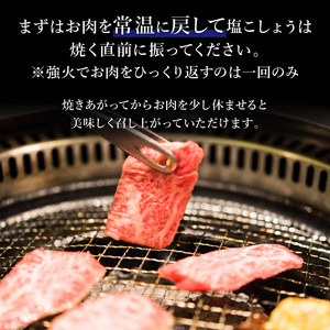 「熟成肉」焼肉(250g)《焼肉 熟成肉 ロース 牛肉 ロース 250g 牛 国産 和牛 おすすめ こだわり セット バーベキュー ブレンド塩 旨味 加古川市》【2402A00405】