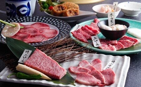 志方亭・別亭石窯ステーキ志方亭共通食事券《焼肉 焼肉セット 志方亭 国産 食事券 お食事 贈り物 美味しい 贅沢》【2407L00401】